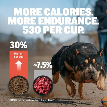 Bully Max Dry Dog Food for Adults & Puppies - High Protein & Fat for Muscle & Weight Gain - High Performance Dog Food Supplements - Small & Large Breed Dogs (530 Calories Per Cup), Beef, 40lb Bag