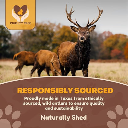 WhiteTail Naturals - Deer Antlers for Dogs - Long Lasting Antler Dog Chews - Crafted in USA, Naturally Shed Antler Dog Bones for Aggressive Chewers (Thick-Medium- 1 Pack)