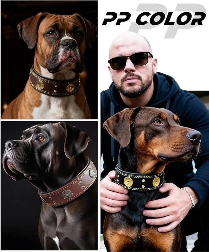 Leather Dog Collar, 2 inches Wide Heavy Duty Genuine Leather Collars, Handmade, Soft, and Luxury, Eye-catching Best Choice for Large and Medium Breed Dogs, Black 15-19 ins