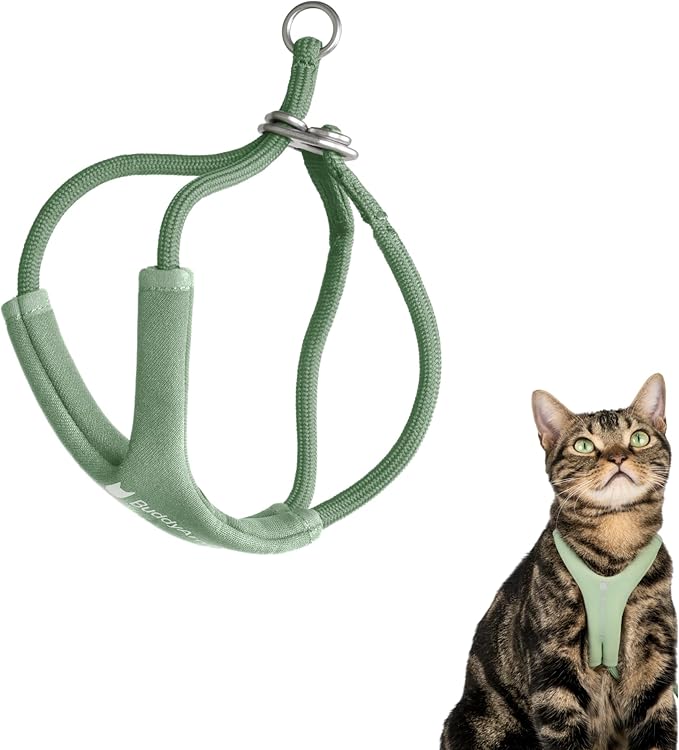 BuddyArmor Escape Proof Y Shape Cat Harness Anti-Choke Buckle Adjustable Comfortable Padded Cat Vest Harness Anti Escape Cat Rope Harness for Kitten Small Medium Large Cats (Olive, S)