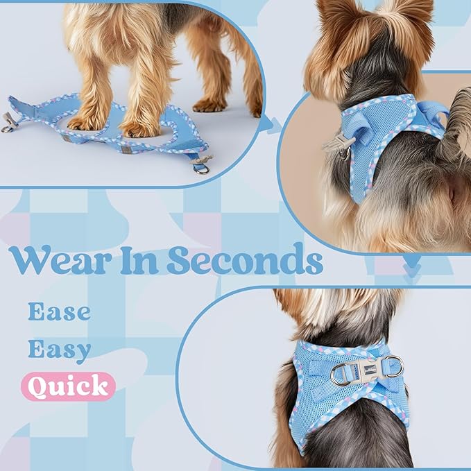 rabbitgoo Small Dog Harness, Step-in Soft Mesh Puppy Vest with Safety Buckle, Breathable Reflective Pet Harness for Small Sized Dogs, Blue & Plaid Trim M