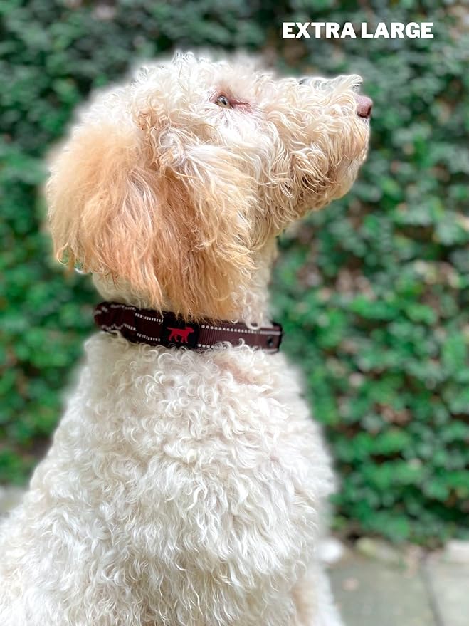 Tuff Pupper Heavy Duty Dog Collar with Handle | Ballistic Nylon Heavy Duty Collar | Padded Reflective Dog Collar with Adjustable Stainless Steel Hardware | Convenient Sizing for All Breeds