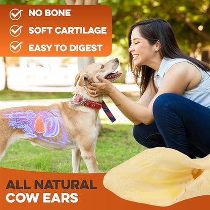 BRUTUS & BARNABY Cow Ears for Dogs – Whole Ears 12 ct, Thick Cut, Grass-Fed Angus Beef, All-Natural No-Rawhide Dog Treat Alternative