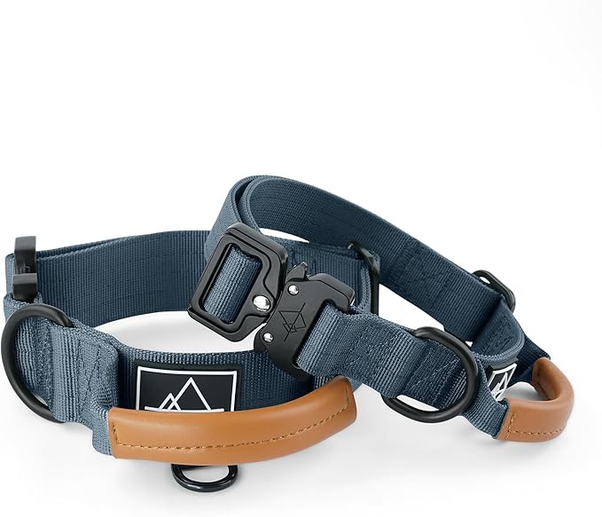 Made to ROAM Premium Explorer Control Collar - Adjustable Heavy Duty Nylon Dog Collar with Quick-Release Metal Buckle and Leather Handle (Colorado Nightsky, Size 2, Control)