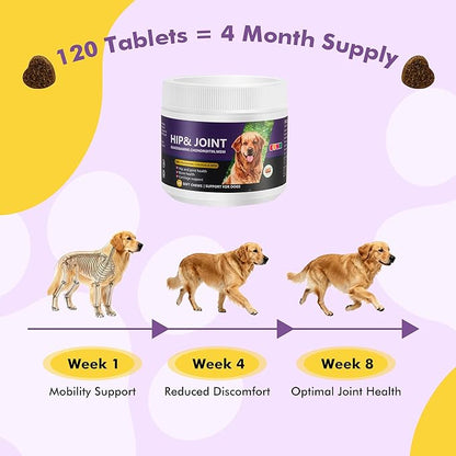 Glucosamine Chondroitin MSM Chewable Tablets for Dogs - Hip & Joint Support Supplement with Vitamins, Chicken Flavor, Joint Pain Relief for Puppies & Senior Dogs, 120 Count