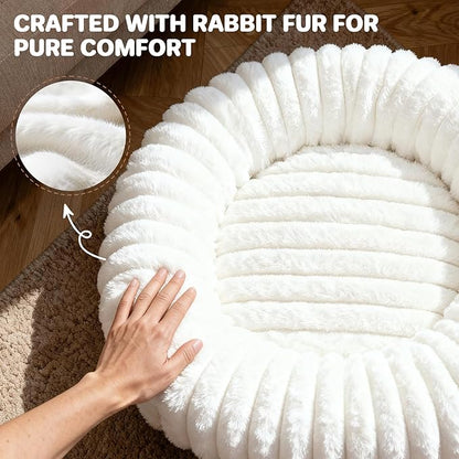 Self Warming Cat Bed, Donut Pet Bed for Indoor Cats and Small Dogs, Self-Heating Dog Bed with Non-Slip Bottom, Winter Comfort Dog Beds for Puppies, Washable & Portable Egg Tart Shape (S)
