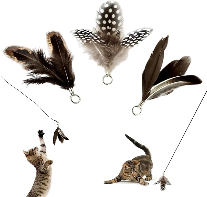 repounce Feather Toys Replacements (3 Pc) - Cat Toys & Kitten Toys for Indoor Kittens, Set of Replacement Feather Attachments Extra Small and Durable, for Cat Wands, Natural and Safe