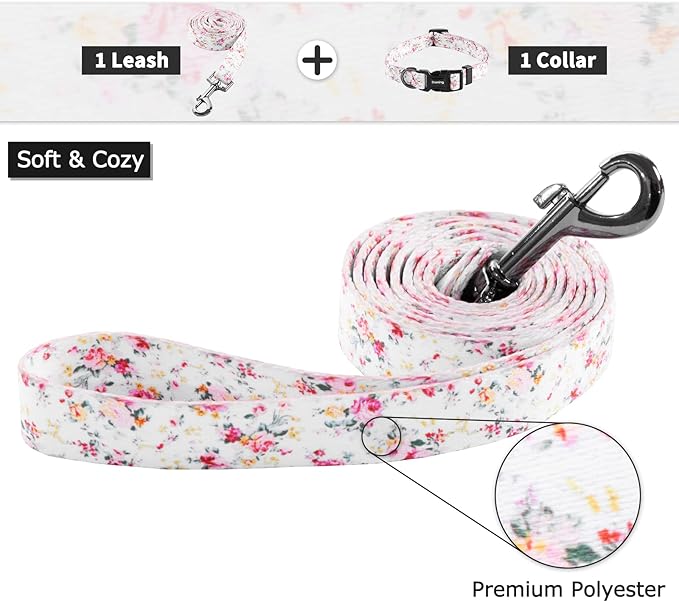 Ihoming Dog Collar and Leash Set for Daily Outdoor Walking Running Training, Floral Sky Design for Large Boys Girls Dogs Cats Pets, L-Up to 80LBS