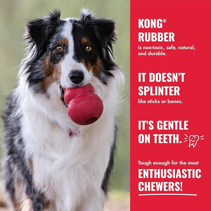 KONG Donut Dog Toy – Durable Natural Rubber Chew & Fetch Toy – Promotes Healthy Teeth & Gums, Fun Bounce & Roll, Gentle on Mouth (Medium/Large)
