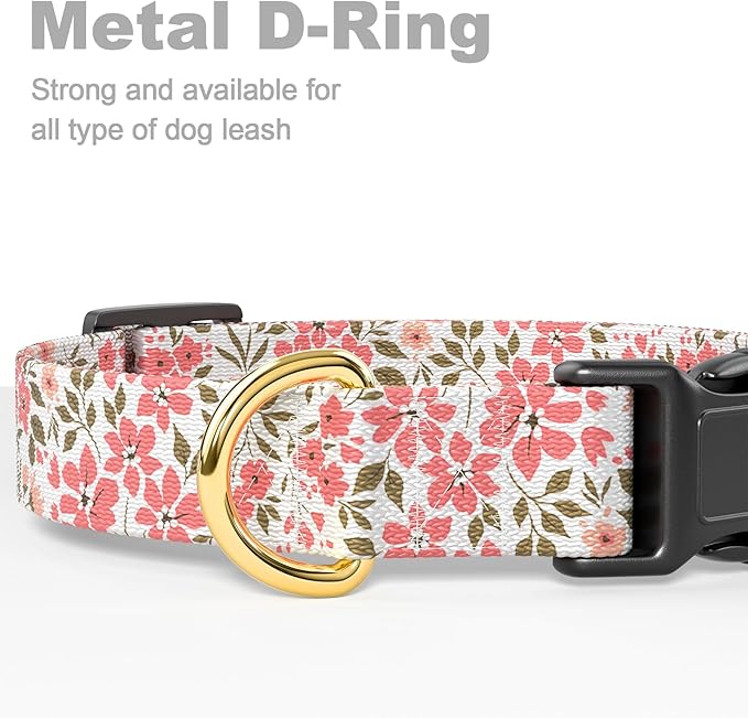 Rnivvi Dog Collar for Small Dogs, Cute Floral Heavy Duty Adjustable Puppy Collar with Quick Release Buckle for Girl & Female, Pet Accessories for Walking Running, XS Length 5/8" Width, Pink White