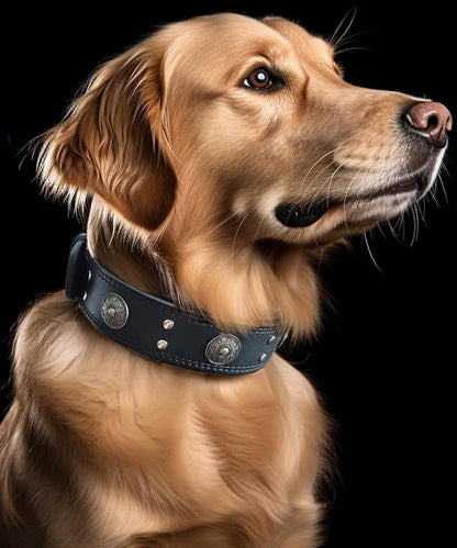 Leather Dog Collar, 2 inches Wide Heavy Duty Genuine Leather Collars, Handmade, Soft, and Luxury, Eye-catching Best Choice for Large and Medium Breed Dogs, Black 21-25 inches
