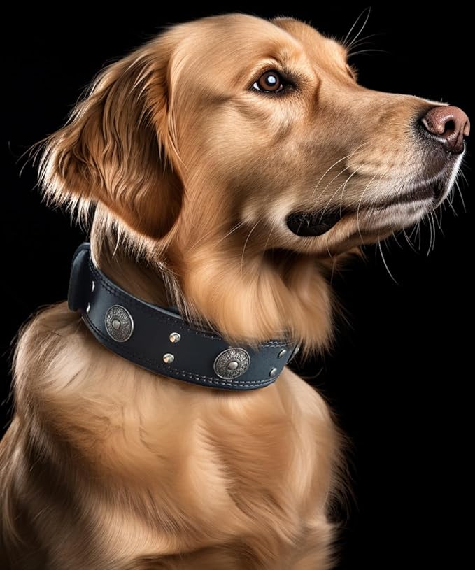 Leather Dog Collar, 2 inches Wide Heavy Duty Genuine Leather Collars, Handmade, Soft, and Luxury, Eye-catching Best Choice for Large and Medium Breed Dogs, Black 15-19 ins
