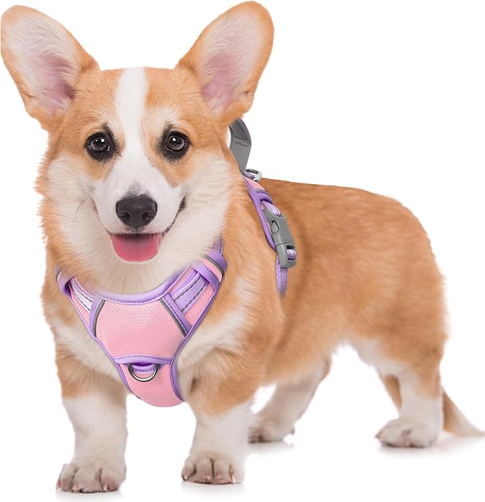 BARKBAY No Pull Dog Harness Large Reflective Dog Harness with Front Clip and Easy Control Handle for Walking Training Running with ID tag Pocket(Baby Pink & Violet Purple,M)