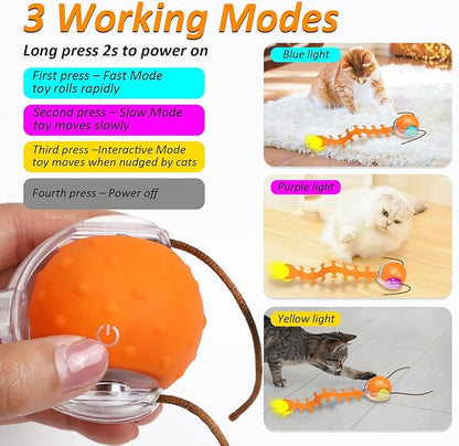 Waaiio Cat Toys Interactive Ball with Bird Chirping Centipede Tail,Automatic Fast Rolling Cat Ball,Touch Activated Rechargeable Toys for Bored Indoor Adult Cats