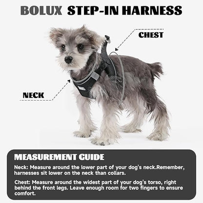 Bolux Dog Harness Small Sized and Leash Set, Step in Soft Light Puppy Vest, Breathable Mesh Pet Harness, Reflective for Safe Easy Walking.