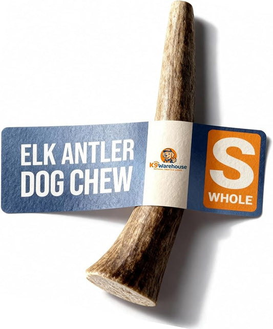 K9warehouse Natural Elk Antlers for Dogs - Premium Grade Dog Antler Chews - Long-Lasting Whole Deer Antles Ideal for Aggressive Chewers - Safe USA Sourced Chew for Medium and Large Dogs - 1 Pack