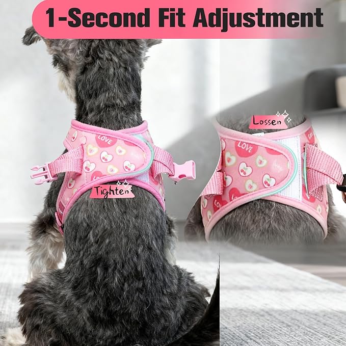 EXPAWLORER Small Dog Valentines Harness and Leash Set - Cute Puppy Harness Leash Dog Collar with AirTag Holder Silicone Case, Soft Padded Step in Pet Vest Reflective for Outdoor Walking, Heart S