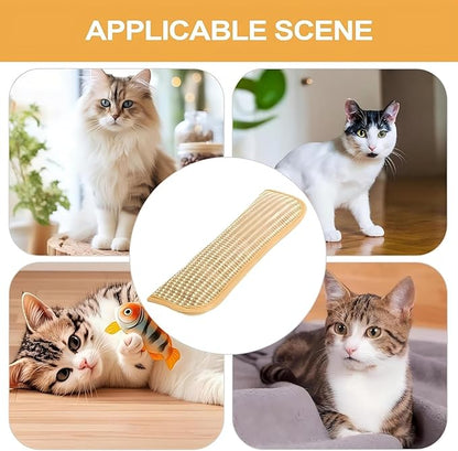 Interactive Catnip Chew Toy, Sisal Catnip Pillow Toy Kickers, Catnip Toys with Organic 8000mg Herbal Blend for Indoor Scratching, Chewing & Teething, Fun for Kittens and Adult Cats(3PCS)