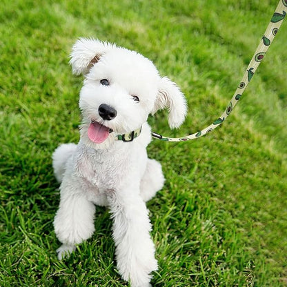 azuza Dog Collar and Leash Set, Fun Avocado Patterns on Nylon Collar and Matching Leash, Great Option for Large Dogs