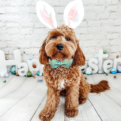 Easter Dog Collar with Bow Tie - Adjustable Easter Carrot Dog Collar Designer Bowtie Collar Metal Buckle Puppy Collars for Small Medium Large Dogs XS