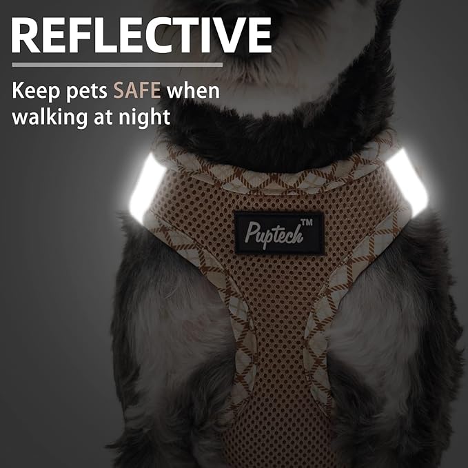 PUPTECK Dog Harness and Leash Set for Small Medium Dogs No Pull Step-in Soft Mesh Puppy Cat Vest Harnesses Reflective at Night, Beige L