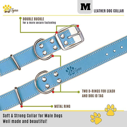 ADITYNA Heavy-Duty Leather Dog Collar for Medium Dogs - Soft Padded for Comfort - Blue Dog Collar for Walking, Training, and Hiking