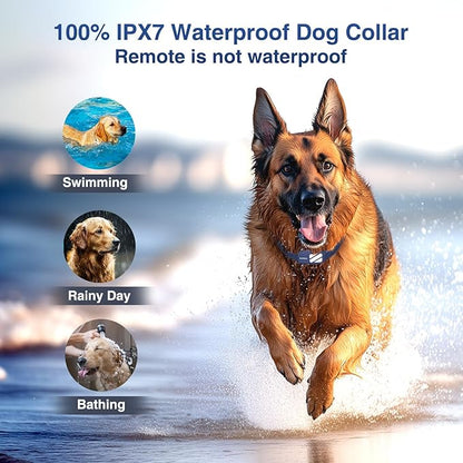 Dog Shock Collar - 4200FT Dog Training Collar with Remote for 20-140lbs Dogs, Innovative E Collar for Dogs Training with 4 Training Modes, Rechargeable Electric E-Collar for Large Dogs