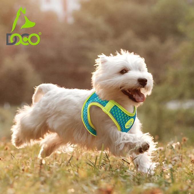 DOCO Dog Harness for Small Sized Dog - Athletica Adjustable, No Pull, No Choke, Puppy Vest Lightweight Air Mesh, Reflective, Puppy Essentials – Turquoise, X-Small (Chest 13.5"-14.", Weight 4–6 lbs)