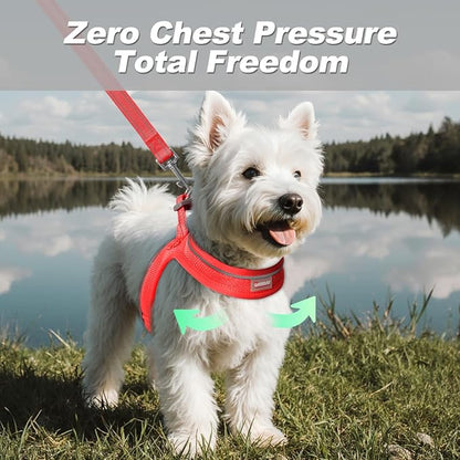 Dog Harness and Leash Set,Step in Small Sized Dog Harness,Soft Mesh,No-Chock,Reflective Adjustable,Secure with Hook & Loop Fastener,Puppy Vest for Small,Medium Dogs(Red,S)