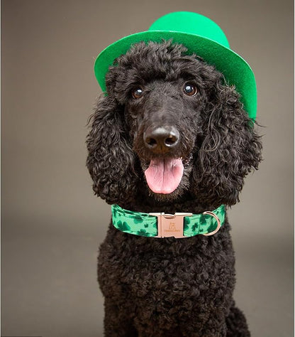 Lionheart Glory St. Patrick Dog Collar - Green Clover Collar for Large Dogs - Adjustable Heavy-Duty Spring Collar - Pet Gift