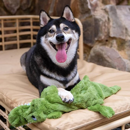 Best Pet Supplies Squeaky Dog Toys with Soft Durable Fabric for Small, Medium and Large Pets Interactive Toy for Indoor Play, Supports Active Biting and Play - 1Wild Duck, Alligator, Large