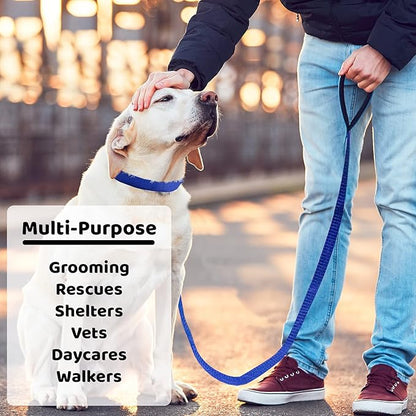 Downtown Pet Supply - 6ft Dog Kennel Slip Lead - Veterinarian, Grooming, Daycare & Rescue Supplies - One Size Leads for Dogs Bulk - 1" Thick 24 Pack