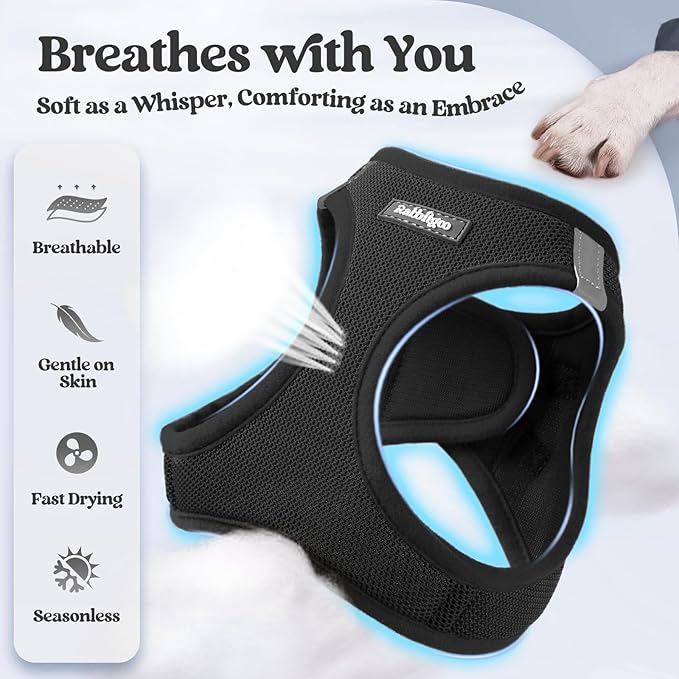 rabbitgoo Dog Harness Small Sized and Leash Set, Step in Soft Light Puppy Vest, Breathable Mesh Pet Harness, Reflective for Outdoor Safe Walking, Black XXXS
