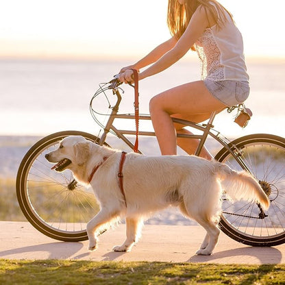 EzyDog Zero Shock Dog Leash - Shock Absorbing Bungee Leash for Dogs That Pull or Excite - Dual Handle and Reflective for Large, Medium, or Small Dogs (25-Inch, Pink)