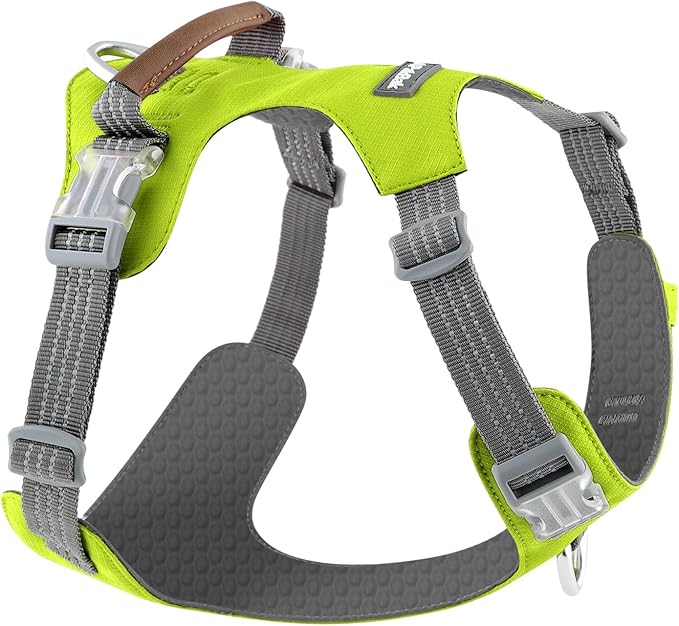 ApakBak No Pull Dog Harness – Adjustable Reflective Nylon Vest for Small Medium Large Dogs, Escape Proof Training Harness with Leather Control Handle, Lightweight Aluminum Hardware (Green, L)