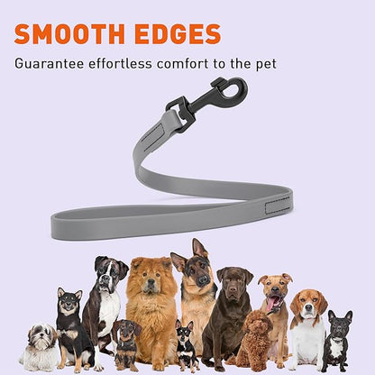 Dogline Biothane Waterproof Dog Leash Strong Coated Nylon Webbing with Black Hardware Odor-Proof Easy to Clean High Performance for Small or Large Dogs Made in USA 2 ft Lead, Battleship Gray