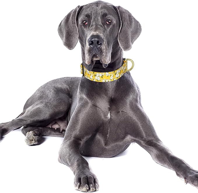 Reflective Dog Collar for Large Dogs, Cute Flower Theme Adjustable Heavy-Duty Nylon Puppy Collar for Boy and Girl Female, Soft Pet Accessories with Quick Release Buckle, Yellow