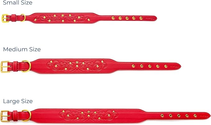 Blueberry Pet Premium Embossed Red Glam Silver-Powered Freshness Microfiber Leather Dog Collar with Gold Studs