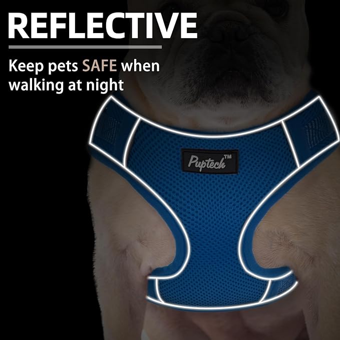 PUPTECK Small Dog Harness and Leash Set, No Pull Adjustable Puppy Cat Harness, Reflective Soft Mesh Pet Vest Small Sized, Blue, S