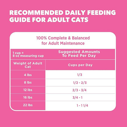 IAMS Proactive Health Adult Sensitive Digestion & Skin Dry Cat Food with Turkey, 13 lb. Bag