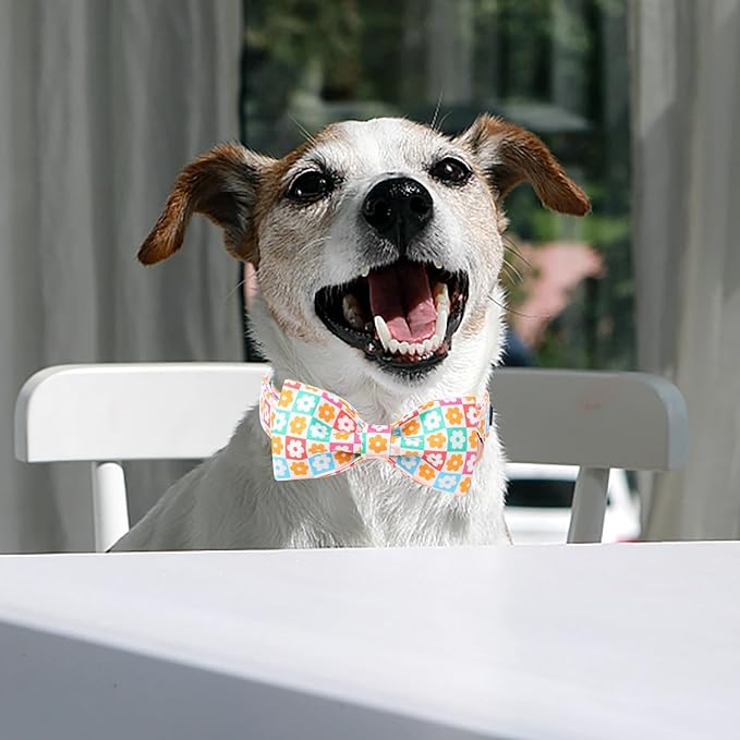 Cute Dog Collar with Bow Tie, Spring Summer Flower Plaid Bowtie Dog Collar, Durable Adjustable Cotton Pet Collar for Small Medium Large Dogs M