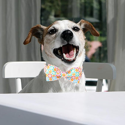 Cute Dog Collar with Bow Tie, Spring Summer Flower Plaid Bowtie Dog Collar, Durable Adjustable Cotton Pet Collar for Small Medium Large Dogs L