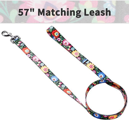Ihoming Dog Collar and Leash Set for Daily Outdoor Walking Running Training, Black Colorful Flowers Design for Large Boys Girls Dogs Cats Pets, L-Up to 80LBS