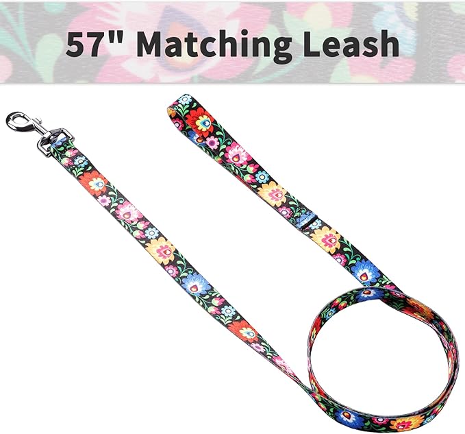 Ihoming Dog Collar and Leash Set for Daily Outdoor Walking Running Training, Black Colorful Flowers Design for Medium Boys Girls Dogs Cats Pets, M-Up to 45LBS