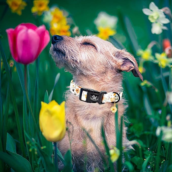 Elegant little tail Dog Collar,Flower Pattern Pet Collar Cute Durable Spring Female or Male Adjustable Cotton Pet Collar with Quick Release Buckle for X-Small Puppy