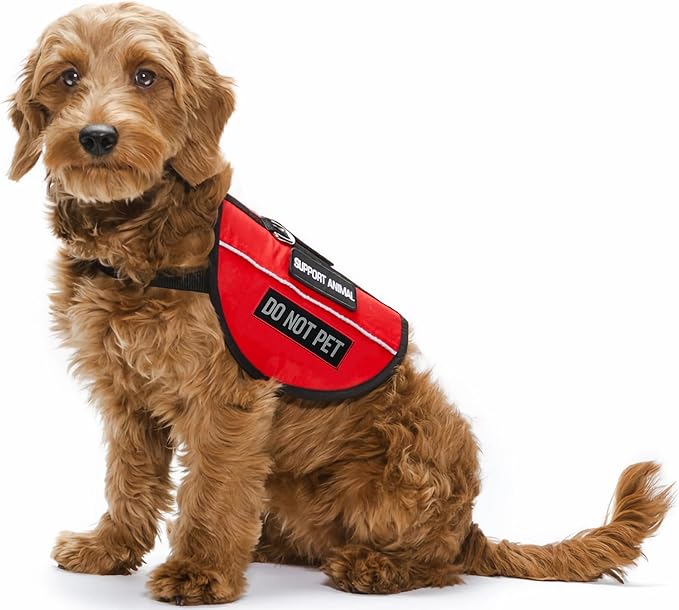 2 Pcs Reflective Do Not Pet Patch Set with Hook and Loop Fastener, Embroidered Border with Printed Letters Patch for Dog Vest Harness (3.5 x 1.2 inches)
