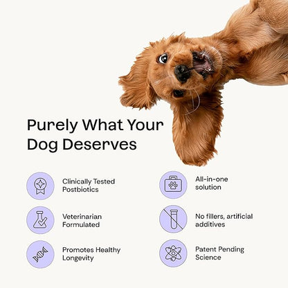 Daily Prebiotic + Postbiotic Dog Supplement Powder | 12-in-1 Support for Gut, Joints, Allergy, Immunity, Calming & Oral Health | Human-Grade Ingredients, No Artificial Flavors-No Fillers - 30 Sachets