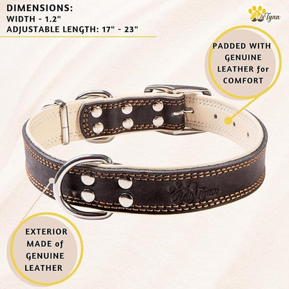 ADITYNA Heavy-Duty Black Leather Dog Collar for Large Dogs - Soft Padded for Comfort - Large Dog Collar for Walking, Training, and Hiking