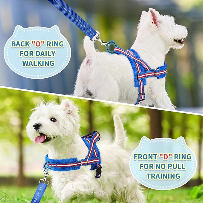 SlowTon No Pull Small Dog Harness and Leash Set, Puppy Soft Vest Harness Neck & Chest Adjustable, Reflective Lightweight Harness & Anti-Twist Pet Lead Combo for Small Medium Dogs (DB-Front Clip, XS)