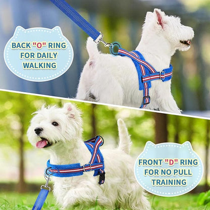 SlowTon No Pull Small Dog Harness and Leash Set, Puppy Soft Vest Harness Neck & Chest Adjustable, Reflective Lightweight Harness & Anti-Twist Pet Lead Combo for Small Medium Dogs (DB-Front Clip, XS)